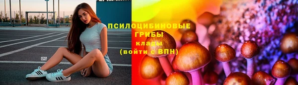 прущая мука Абаза